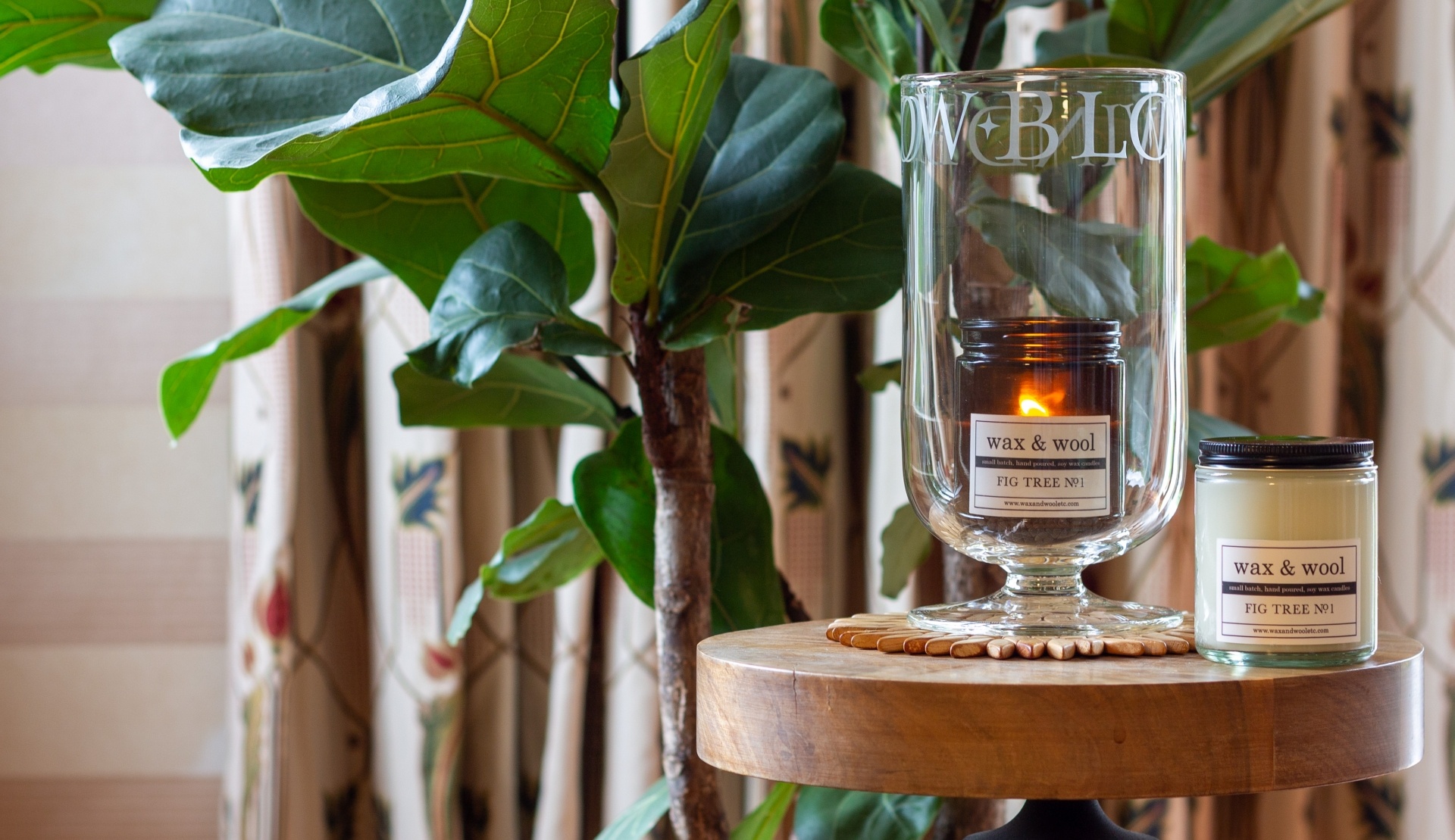 Fig Tree No. 1 by Wax & Wool both with fiddle fig straight L narrow3