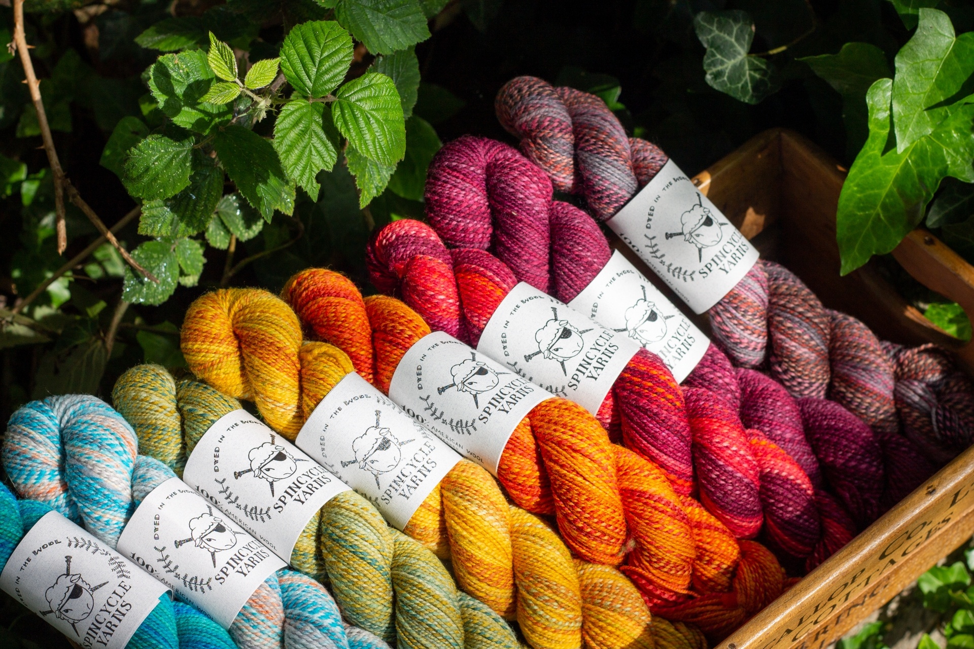 Spincycle Dyed in the Wool Rainbow close L