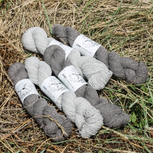 Spincycle Yarns - Wilder