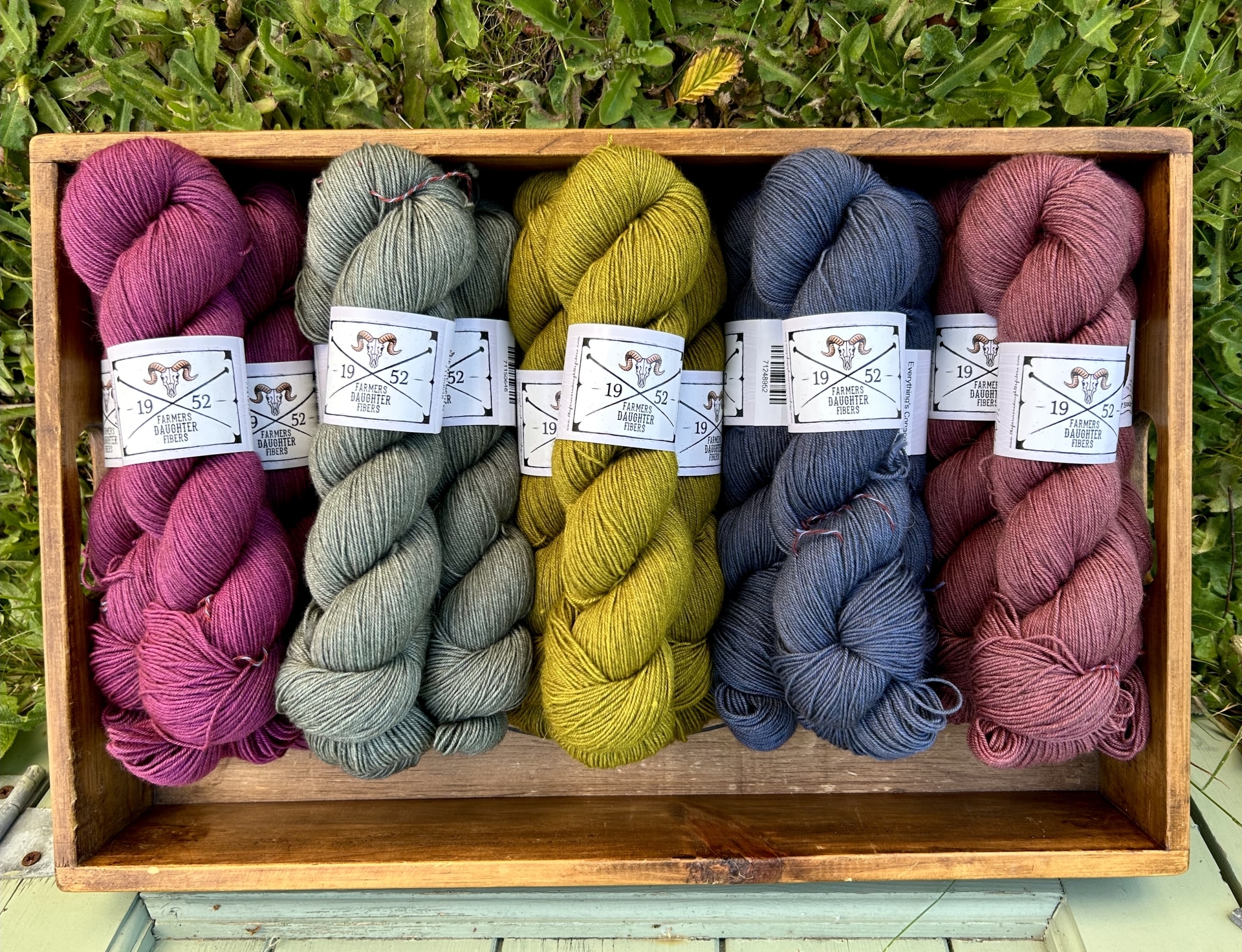 Box of salmon, blue, green, grey and pink skeins of Bear Paw Sock by the Farmer's Daughter fibers