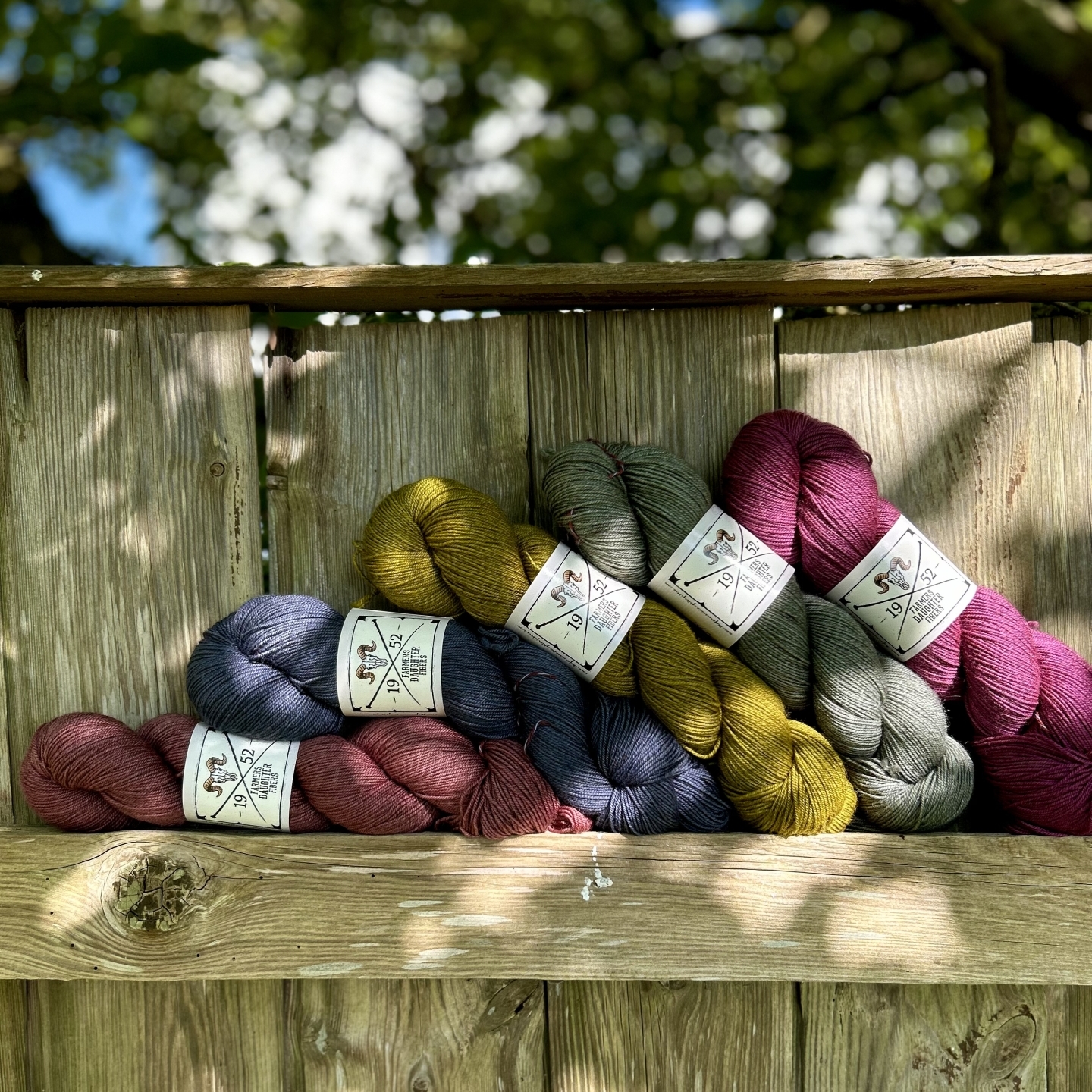 Salmon, blue, green, grey and pink skeins of Bear Paw Sock by the Farmer's Daughter fibers, leaning on a wooden fence