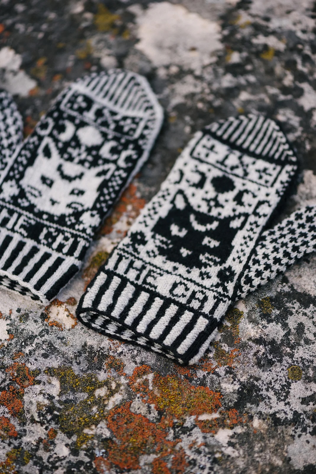 The Cat Tarot Mitts